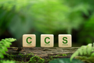 ccs