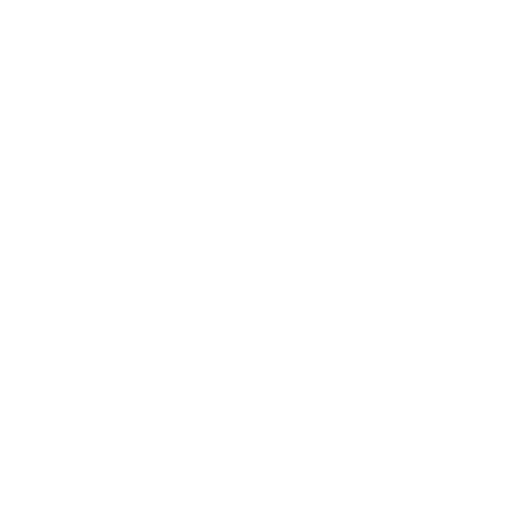 trnsprnt-logo
