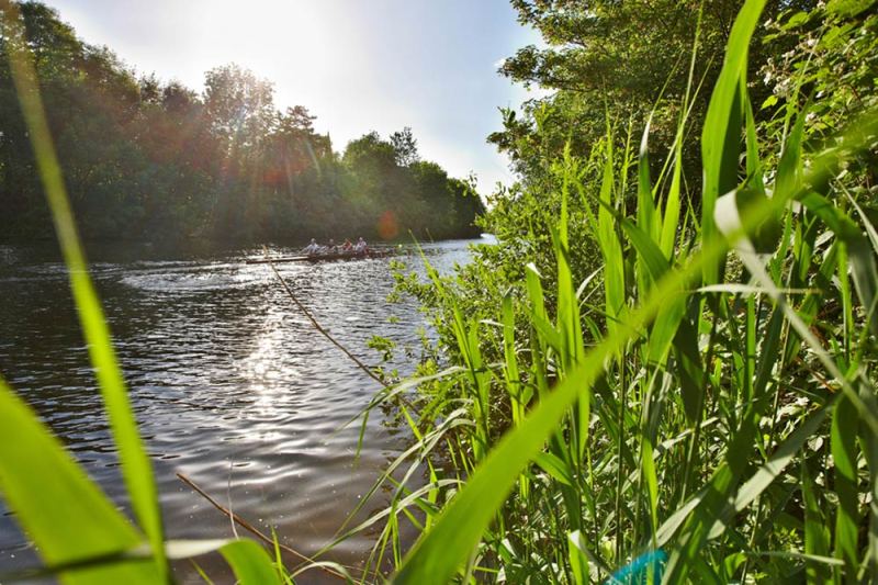 Hannover, Artenvielfalt
[ (c) Christian Wyrwa, Burgwedeler Str. 91D , 30916 Iserhagen (bei Hannover), Germany, E-Mail: info@wyrwa-foto.de, Tel: +49-511-3945254, Fax:+49-511-1233545, Mobil: +49-171-8340094, 7 % MwSt, St.Nr.: DE180903836, Bankverbindung: Konto: 900437952, BLZ 25050180, Sparkasse Hannover, IBAN: DE43250501800020068336; BIC: SPKHDE2HXXX:, Jegliche Verwendung ausserhalb einer journalistischen bedarf einer gesonderten Freigabe.Es gelten ausschließlich meine Geschäftsbedingungen (AGB). (Diese können eingesehen werden unter: http://www.wyrwa-foto.de/Wyrwa-AGB/Wyrwa_AGB.pdf ) Dieses Lichtbildwerk ist gesetzlich geschuetzt. Nachdruck, Veroeffentlichung und Verwendung nur gegen Honorar (mindestens MFM Liste 2010), Belegexemplar und Autorennennung.: "Foto: Christian Wyrwa" , www.freelens.com/clearing/, kein Modelrelease vorhanden, no modelrelease] [130,26,12113]